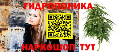 дживик Канаш